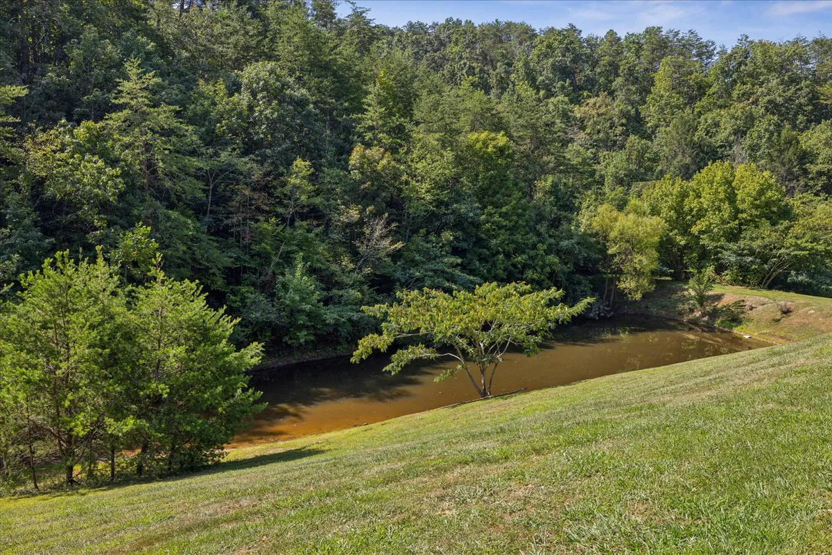 A calm fishing pond surrounded by lush greenery and distant trees, radiating a peaceful and inviting mood. The pond is the centerpiece, ideal for fishing, quiet reflection, or peaceful picnics by the water's edge.