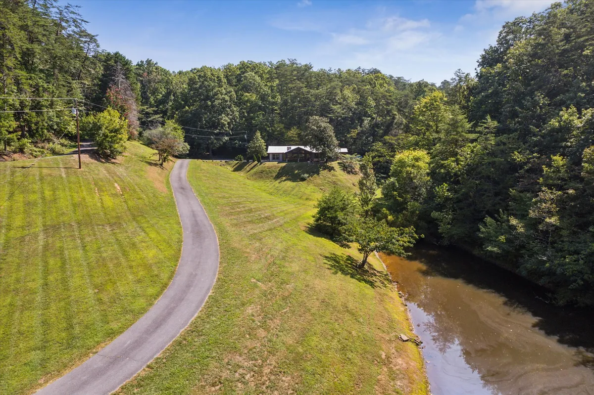 A peaceful view of a winding driveway leading towards a house nestled among tall trees, with a gentle stream running through the lush, secluded landscape. The natural setting is expansive and inviting, perfect for nature walks, fishing, and exploration.