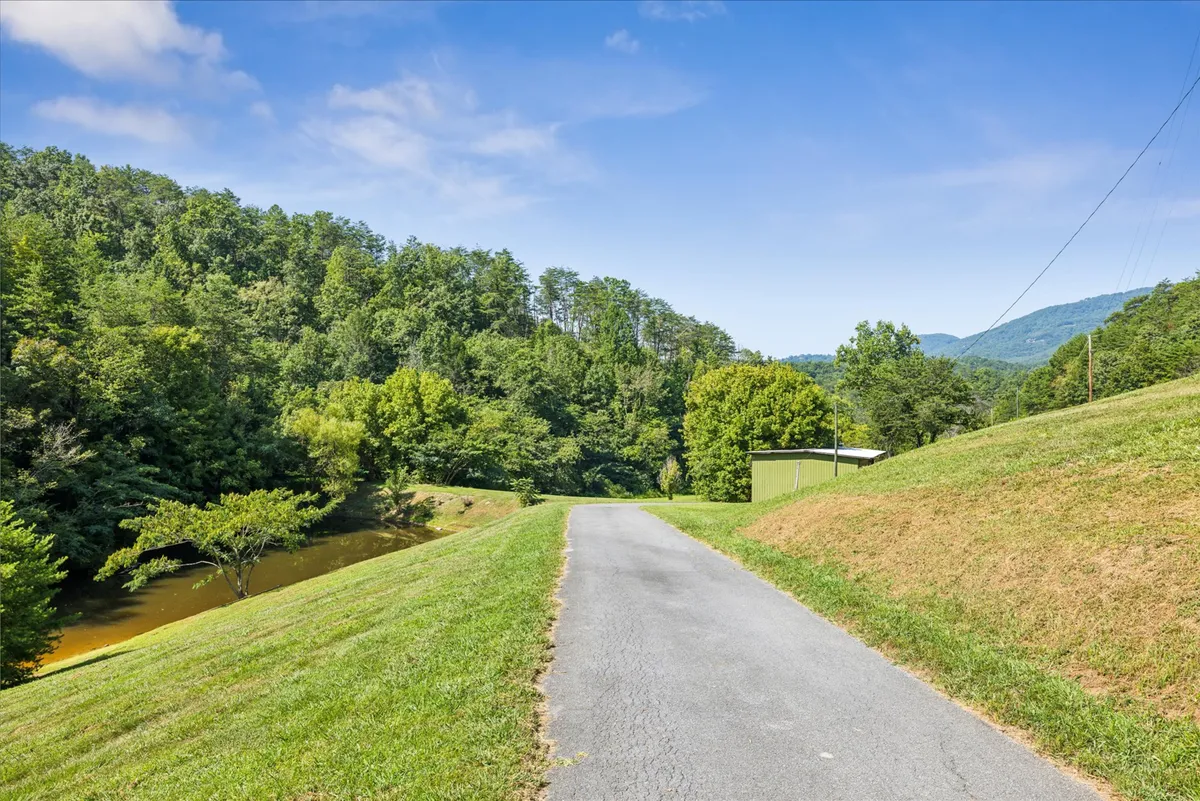 This image captures a winding road surrounded by lush greenery, with distant mountains and a tranquil pond in the foreground. The setting is peaceful and inviting, evoking a sense of seclusion and immersion in nature—ideal for morning walks, wildlife watching, or simply enjoying the fresh air.